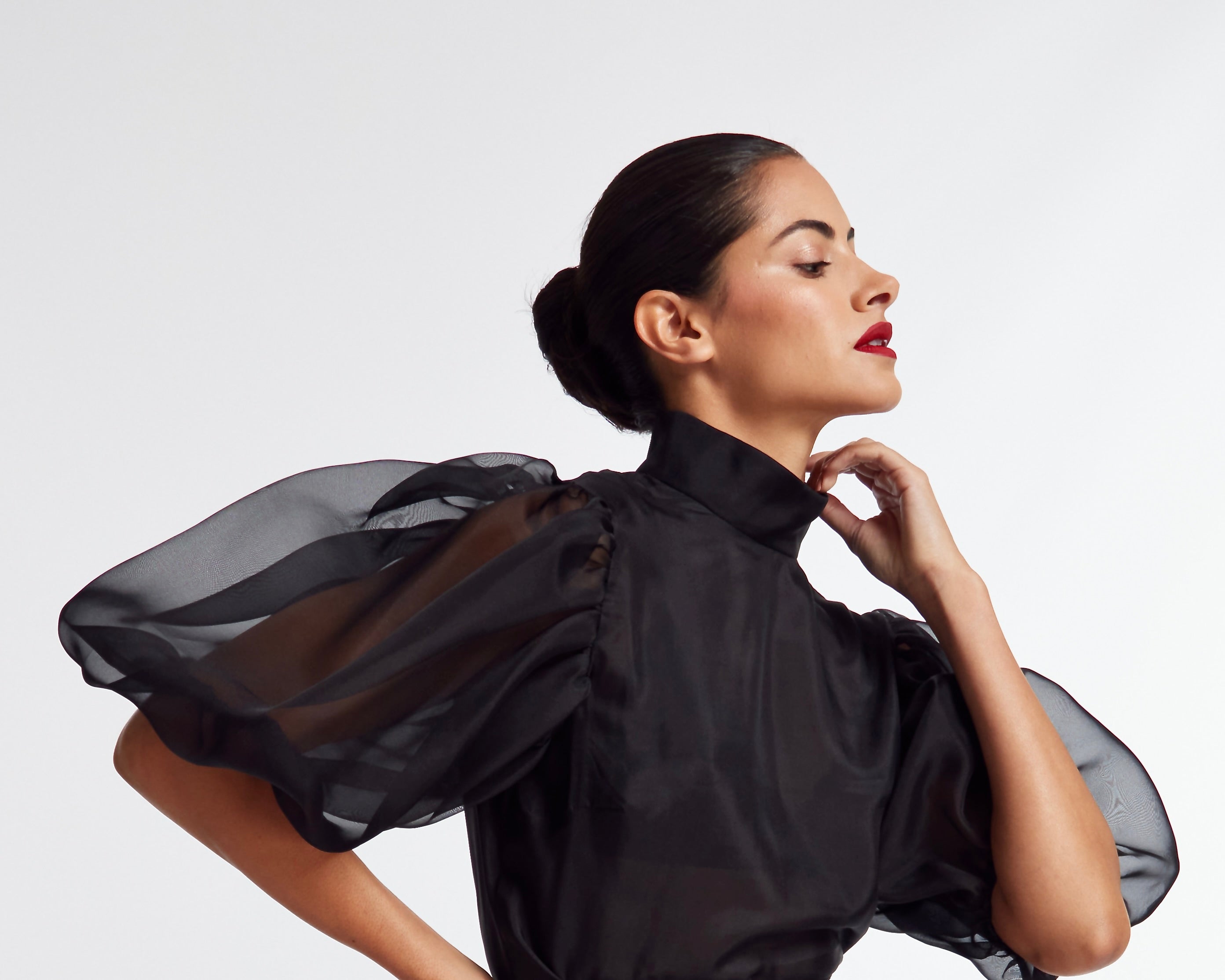 Puff Sleeve Organza